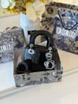 Dior bag(2316-Black)
