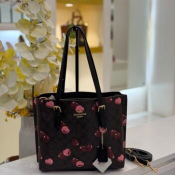 Coach bag (8003-coffee/black)
