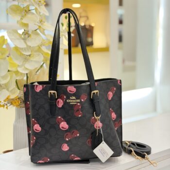 Coach bag (8003-black /black)